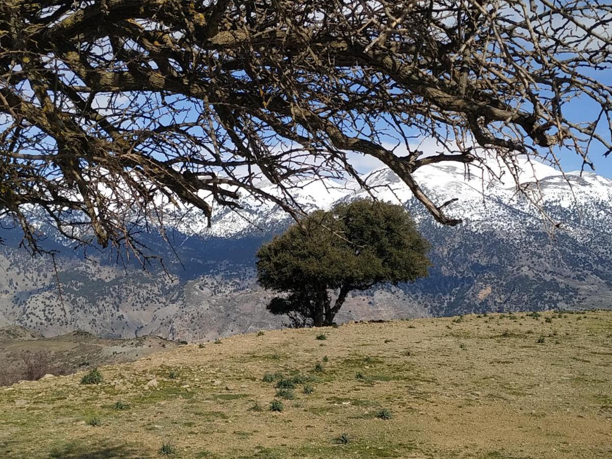 Il Silenzio Villa Magarikari Buitenkant foto