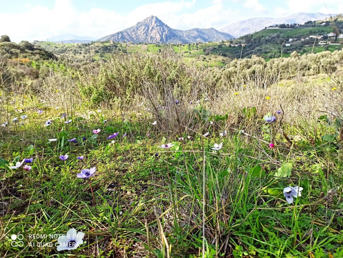 Il Silenzio Villa Magarikari Buitenkant foto